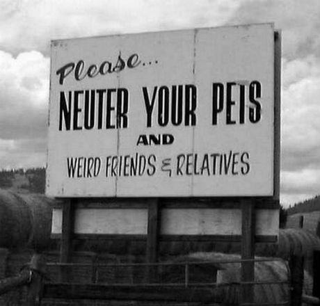 neuter pets and werid people .jpg